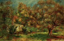 Renoir / Olive garden /  c. 1907–12 by klassik art