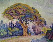 Signac / Stone pine in Saint-Tropez/1909 by klassik art