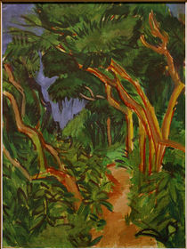 E.L.Kirchner / Woodland Path on Fehmarn by klassik art