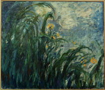 Monet / Yellow irises / 1924/25 by klassik art