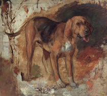 H.Hunt, Studie eines Bluthundes von klassik art