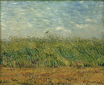 V. van Gogh, Corn field and poppies by klassik art