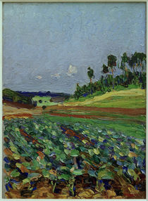 Kandinsky, Landschaft bei Regensburg / Gemälde, 1903 von klassik art