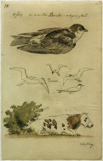 J. Th. Lundbye, Schwalbe, Seeschwalben, liegende Kuh von klassik art