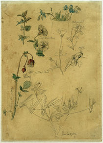 J. Th. Lundbye, Pflanzenstudie by klassik art