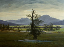 Friedrich / The Lonesome Tree / 1822 by klassik art