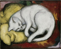 Franz Marc, Katze auf gelbem Kissen von klassik art