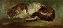 Th. A.Steinlen, Sleeping Cat by klassik art