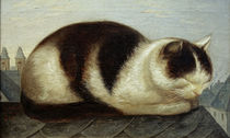 H.Anschütz, Katze von klassik art