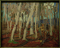 T.Thomson, Maple Woods, Bare Trunks, 1915 von klassik art