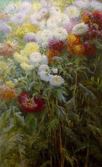 Caillebotte / Chrysanthemums / Painting by klassik art