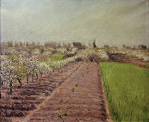 G.Caillebotte, Apfelbäume in Blüte von klassik art