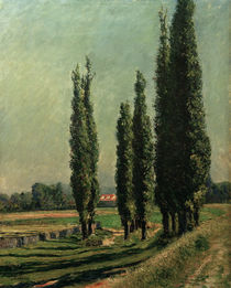 Caillebotte / Poplars on Dyke / 1889 by klassik art