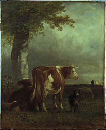 Constant Troyon / Kühe auf der Weide/1851 von klassik art