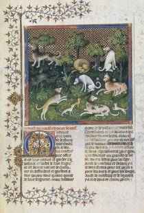Jagdhunde (Mastiff) / Livre de la Chasse von klassik art