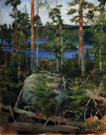 Akseli Gallen-Kallela, Landscape at Lake Jamajärvi by klassik art