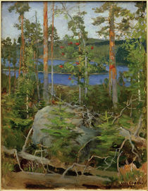 A.Gallen-Kallela, Blick auf den Jamajärvi-See by klassik art
