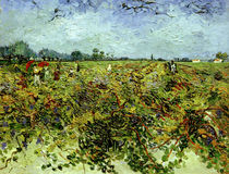 V. van Gogh, The Green Vineyard / Paint. by klassik art