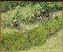 Van Gogh / Butterflies and Flowers by klassik art