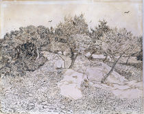 van Gogh, Olive grove near Montmajour by klassik art