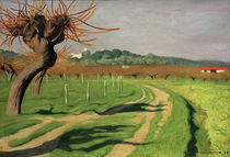 F.Vallotton, Cagne Valley by klassik art