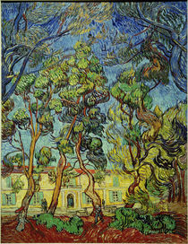 V. van Gogh, Hospital at Saint-Rémy by klassik art