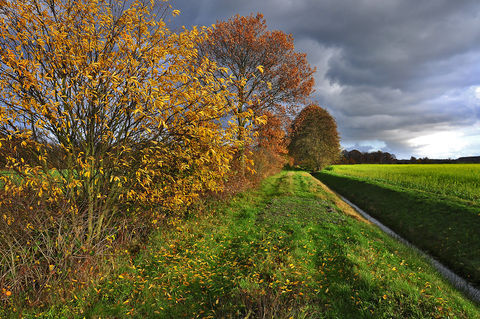 Herbstland