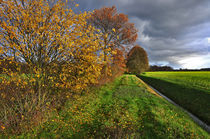 Herbst auf dem Land by Jens Uhlenbusch