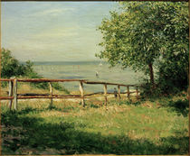 Caillebotte / Field along Coast / 1882 by klassik art
