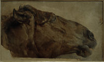 Adolph Menzel, Pferdestudie by klassik art
