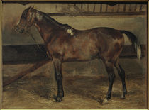 Géricault / Brown Horse in the Stalls by klassik art