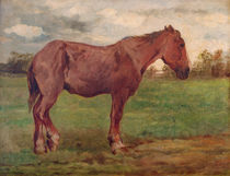 Workhorse in a Landscape / T. Herbst / c.1880 by klassik art