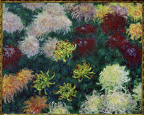 C.Monet / Chrysanthemum Bed / 1897 by klassik art