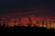 Dunkel roter Sonnenuntergang von atelier-kristen