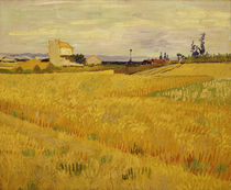 Van Gogh / Cornfield /  c. 1888 by klassik art