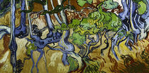 V. v. Gogh, Baumwurzeln und Baumstämme von klassik art