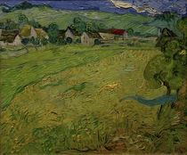 V. v. Gogh, Les Vessenots, Auvers / Ptg./1890 by klassik art