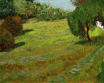 V. v. Gogh, Sonnige Wiese: Parkanlage von klassik art