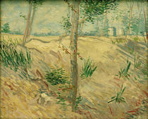 V. van Gogh, Tree trunks in sunlight by klassik art