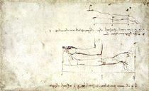 Vinci / Arm und Hand / Studie / fol. 26 r by klassik art