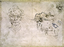 Vinci / Alter Mann / Seh-u. Gehörnerv/fol32 v von klassik art