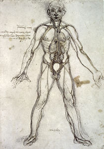 Leonardo / Gefäßsystem nach Galen / fol. 36 r by klassik art