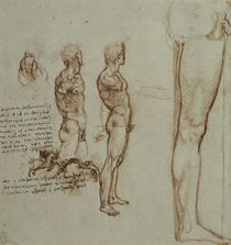 Leonardo / Bewegungsstudien u. a. / fol. 82r von klassik art
