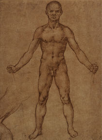 Leonardo / Männlicher Akt frontal / fol. 85r von klassik art