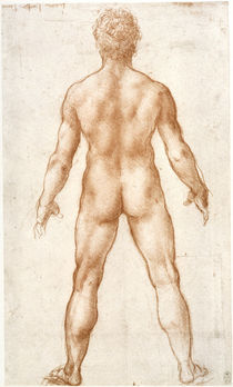 Leonardo / Männlicher Akt Rücken / fol. 84r von klassik art