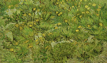Dandelions / V.v. Gogh / Painting 1889 by klassik art