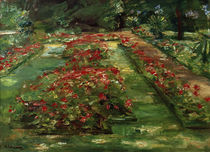Liebermann / Flower Terrace / Painting by klassik art