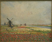 C.Monet, Blumenfelder und Windmühlen von klassik art