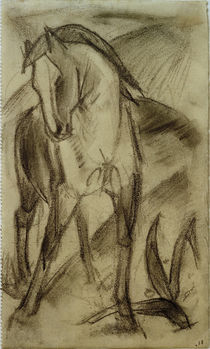 F.Marc, Young Horse in Moutnain Landscape / Pencil by klassik art