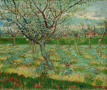 van Gogh / Orchard in Blossom / 1888 by klassik art